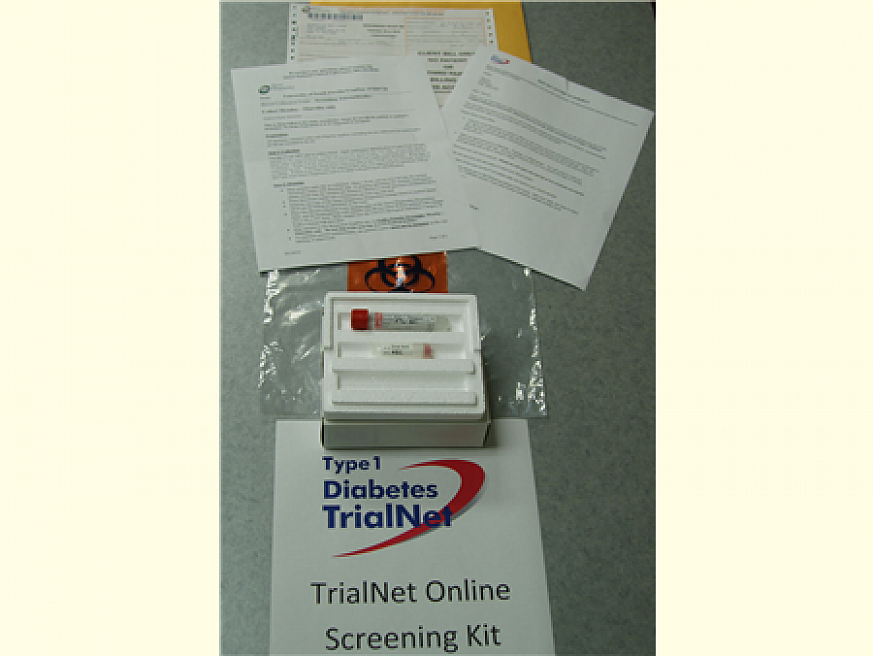 Kit with questionnaire and vial for blood test