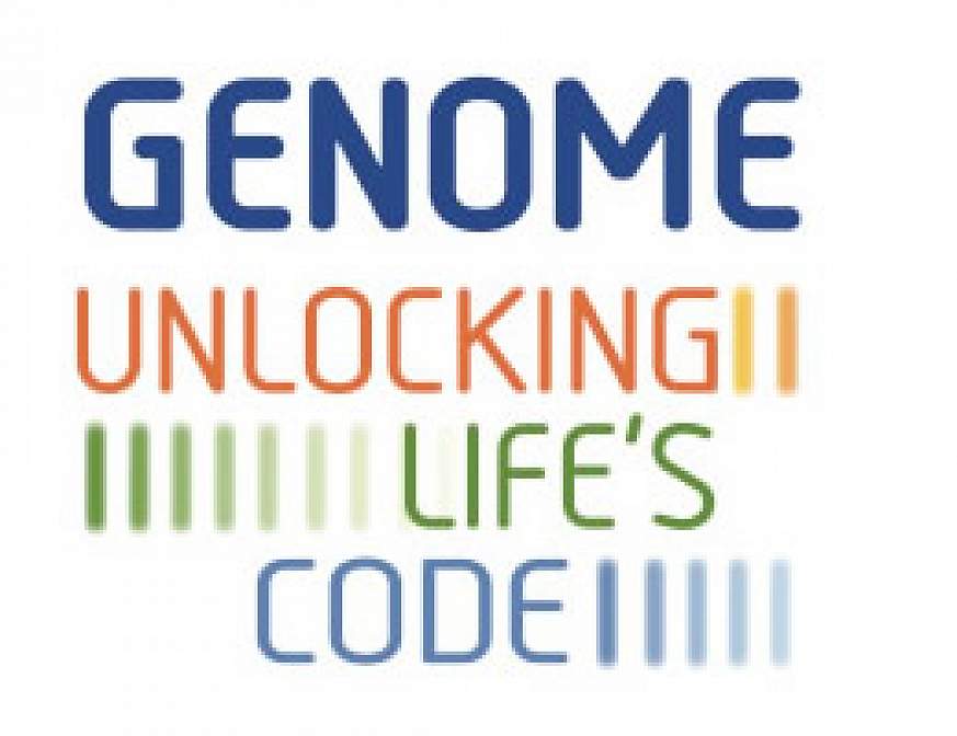 Exhibit logo