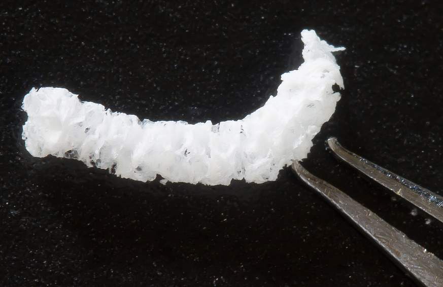 Image of a silk implant used in the study