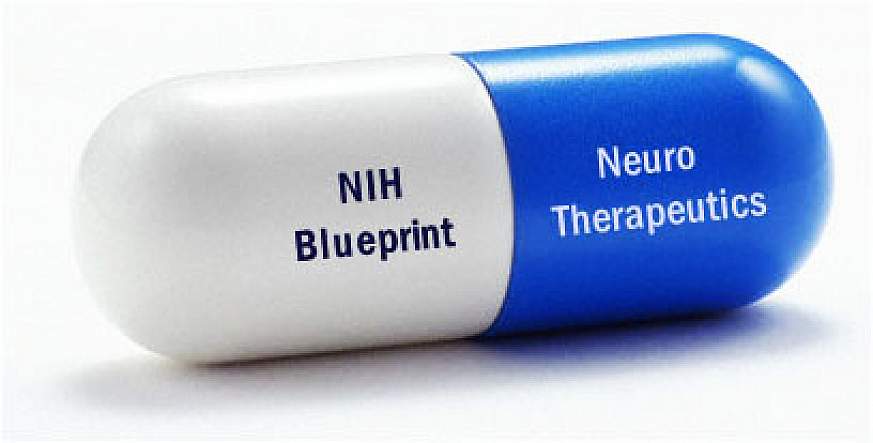 Pill with the words NIH Blueprint and Neuro-Therapeutics printed on it.