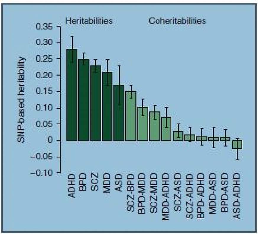 bipolar disorder charts