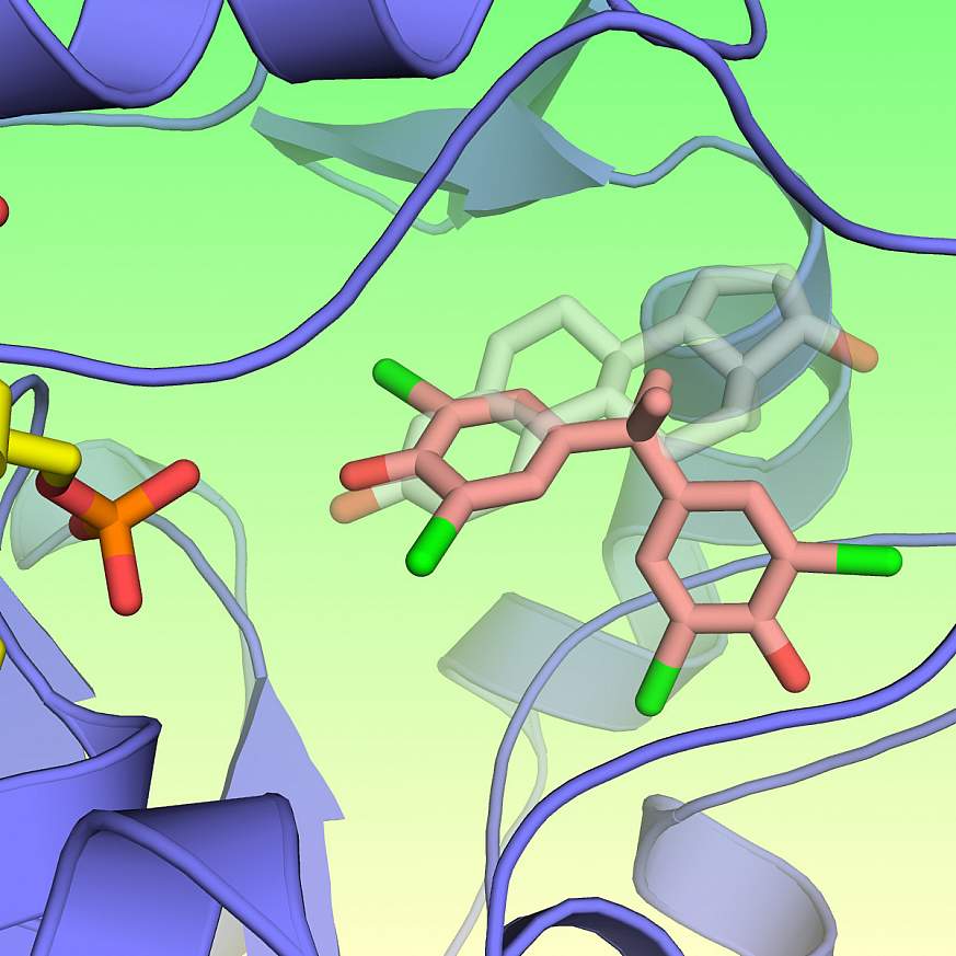 Image of flame retardant binding to an estrogen metabolizing enzyme