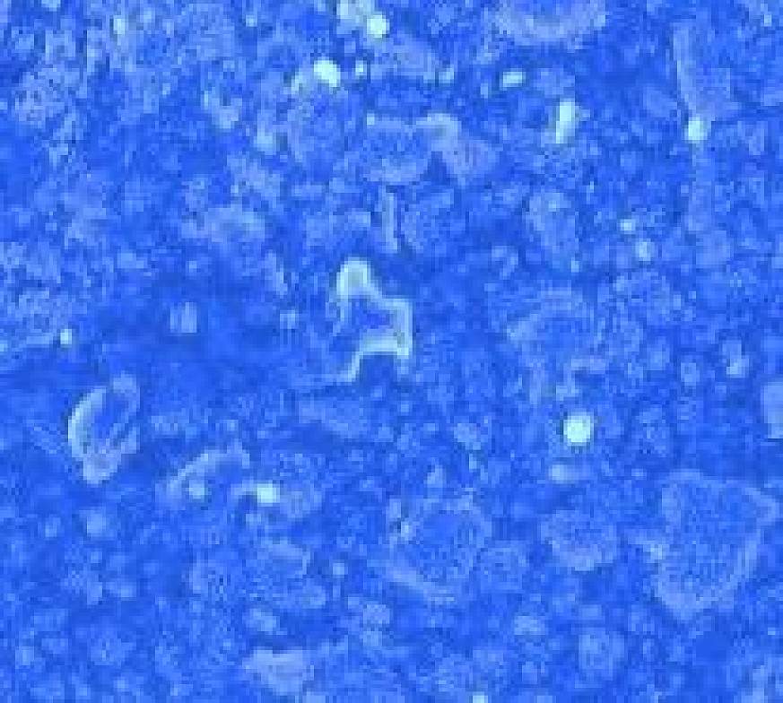 Image of magnified generic composite structure