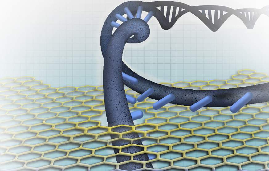 Nanopore sequencing image