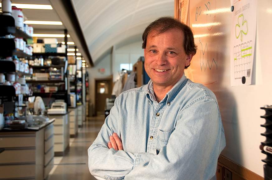 An image of Dr. Lawrence Brody An image of Dr. Lawrence Brody