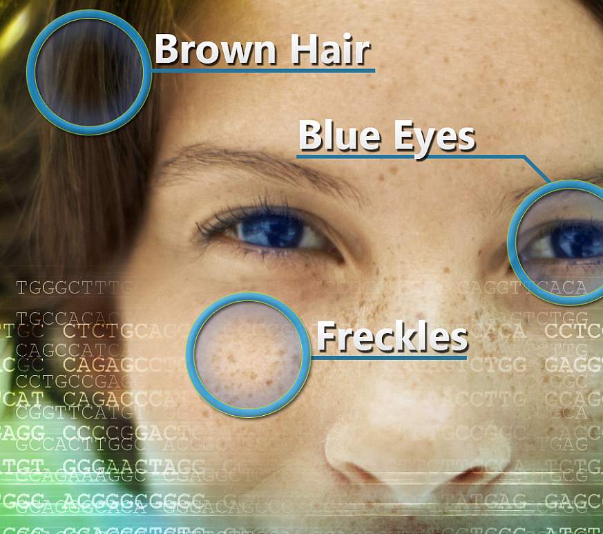 An image showing the results of pigmentation genetics