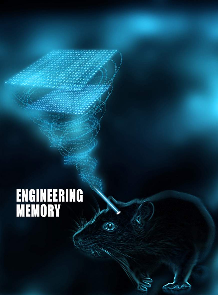 Illustration of a rat with data coming from its brain.