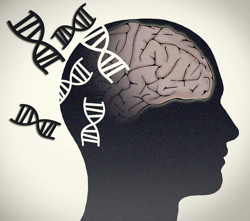 Illustration of the brain with double-helixes