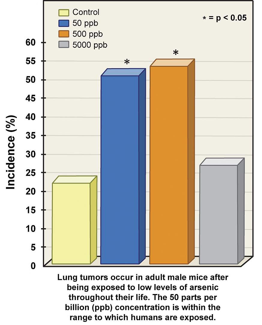 A chart showing cancer incidence among study subject