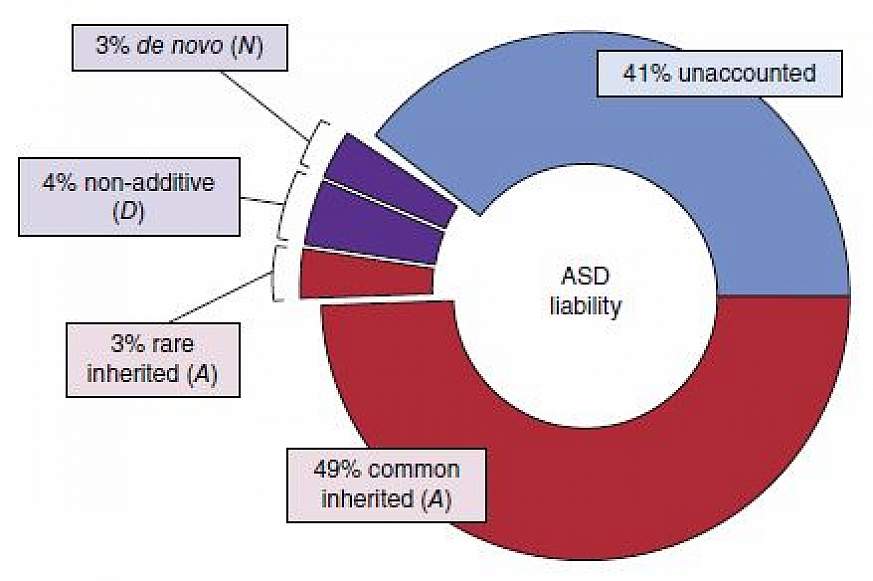Chart showing Population-Based Autism Genetics and Environment Study