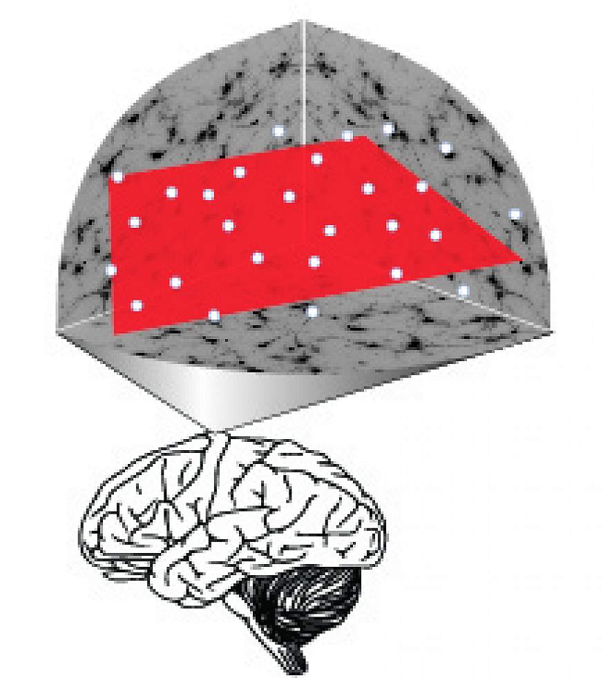 Illustration of brain area tested in study
