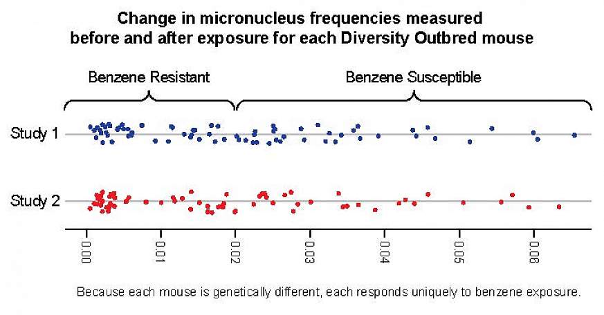 A graph showing how mice react to benzene exposure.