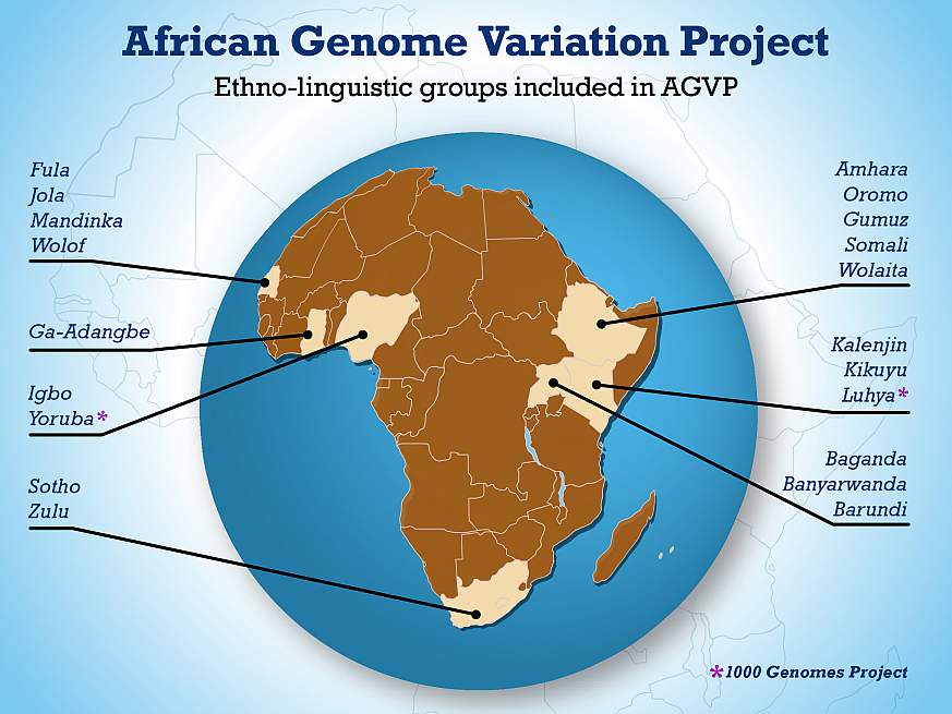 Map of Africa showing genome variation in Africa