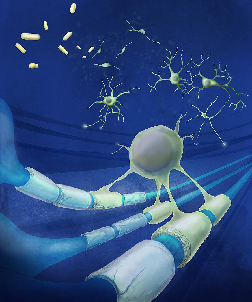 Illustration of remyelination