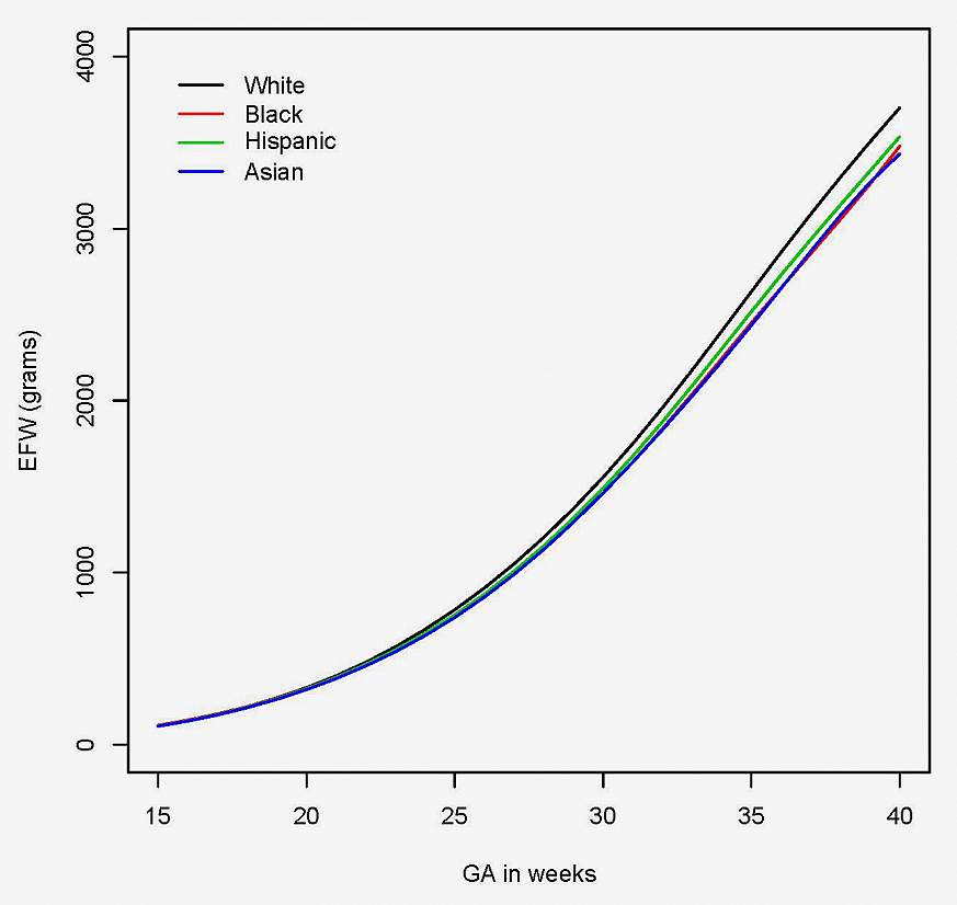 Fetal Growth Chart During Pregnancy