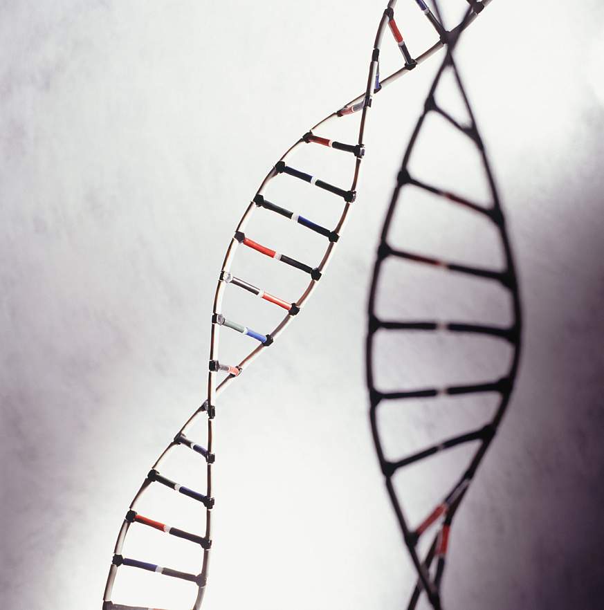 Stock image of DNA