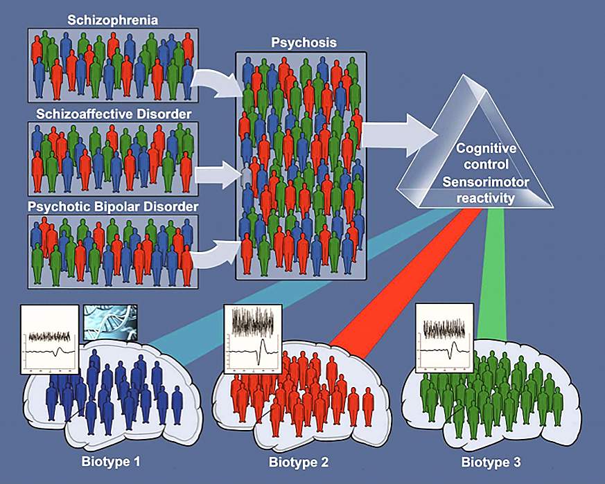 Illustration of resorting patients based on brain biotypes