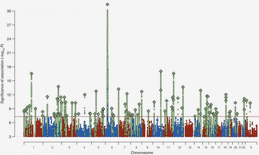 Schizophrenia’s genomic “skyline