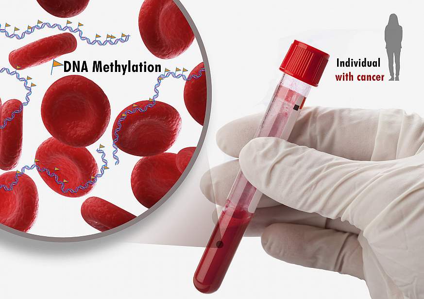 Illustration representing DNA methylation