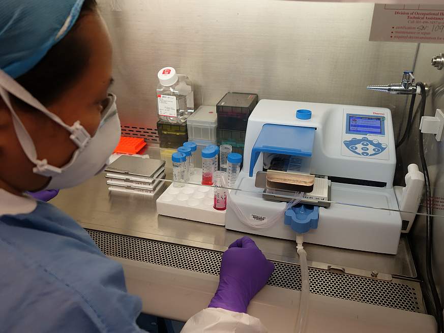 NCATS researcher dispenses zika virus into trays for compound screening. NCATS researcher dispenses zika virus into trays for compound screening. 