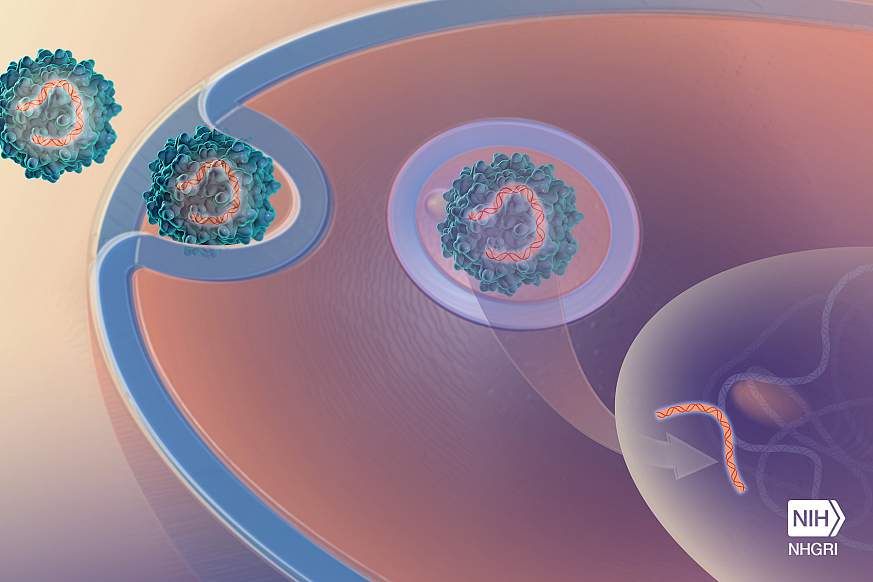 Illustration of gene therapy