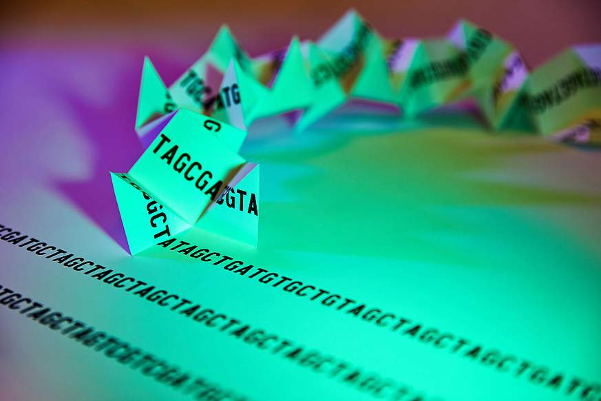 Image of a folding paper genome