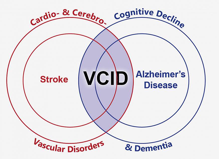 illustration connecting vascular disorders and dementia