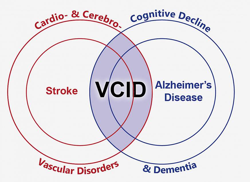illustration connecting vascular disorders and dementia