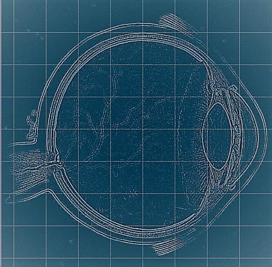 Illustration of an eye on a blueprint