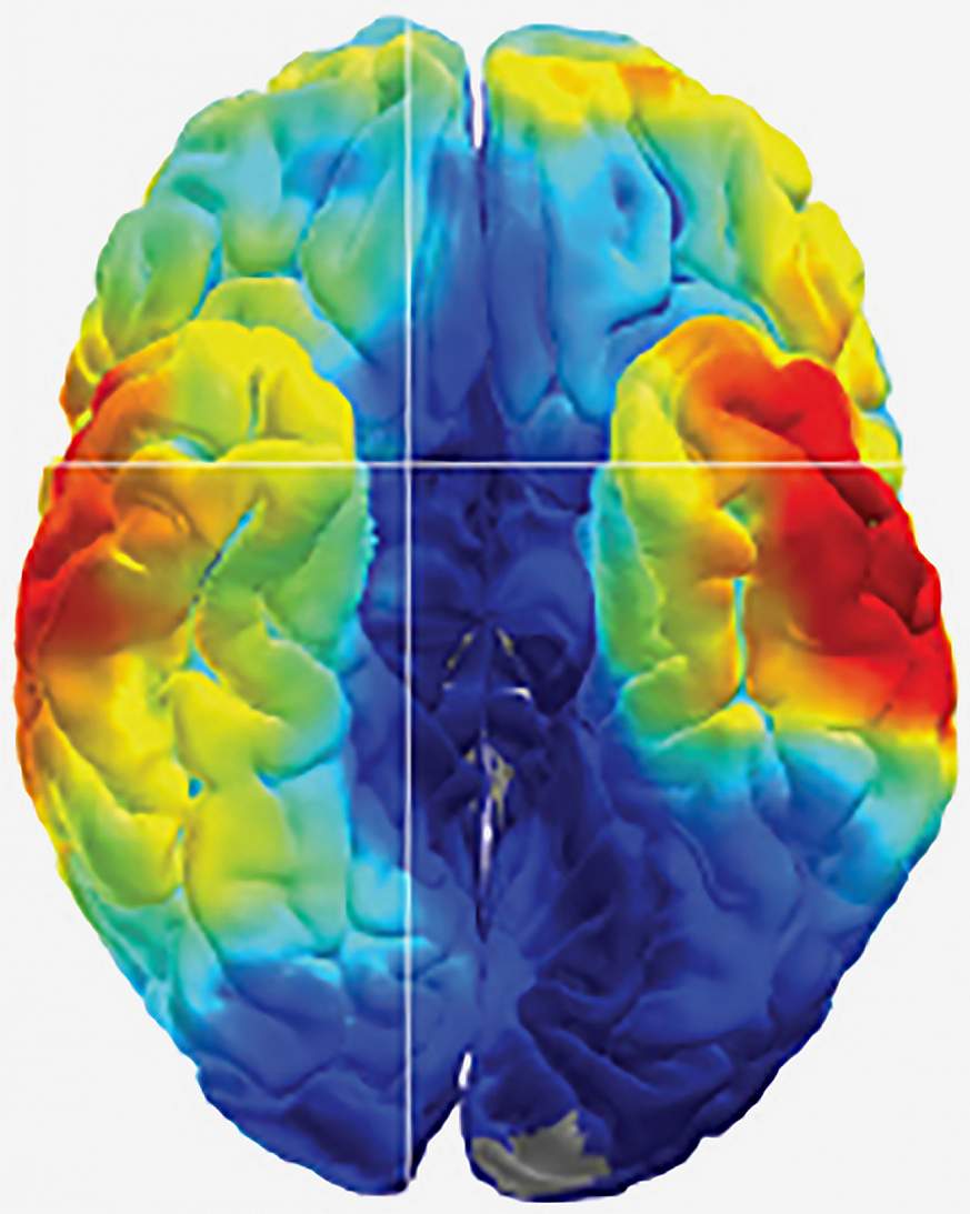 Brain’s memory codes