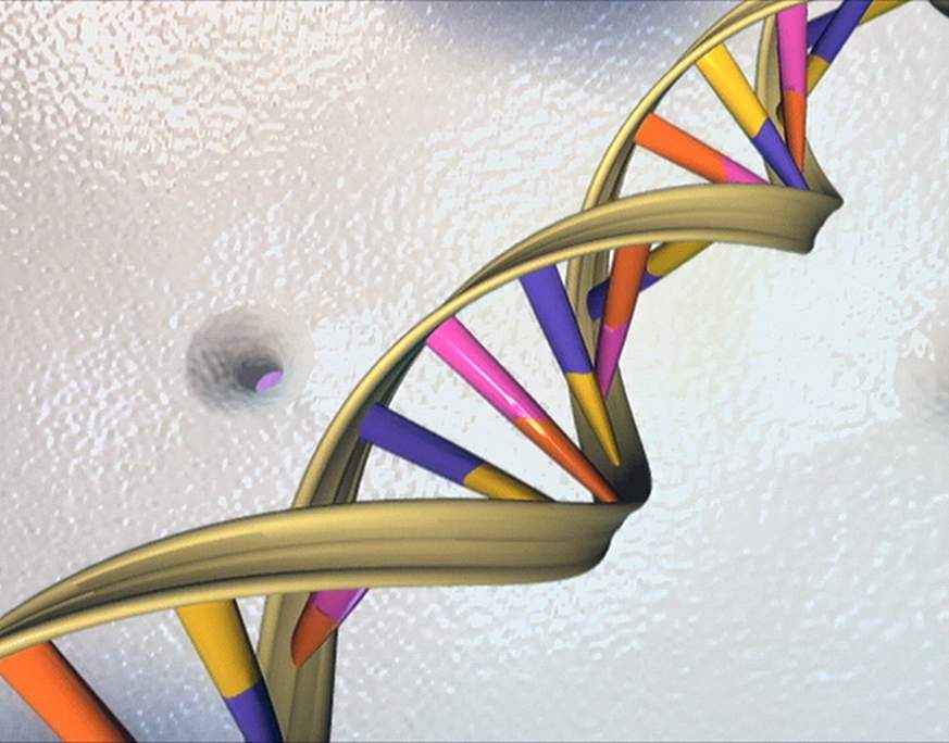 DNA Double Helix