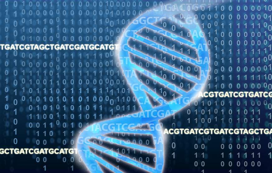 DNA double helix with data