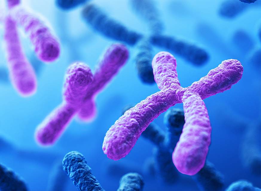 Illustration of a cell karyotype exhibiting trisomy.