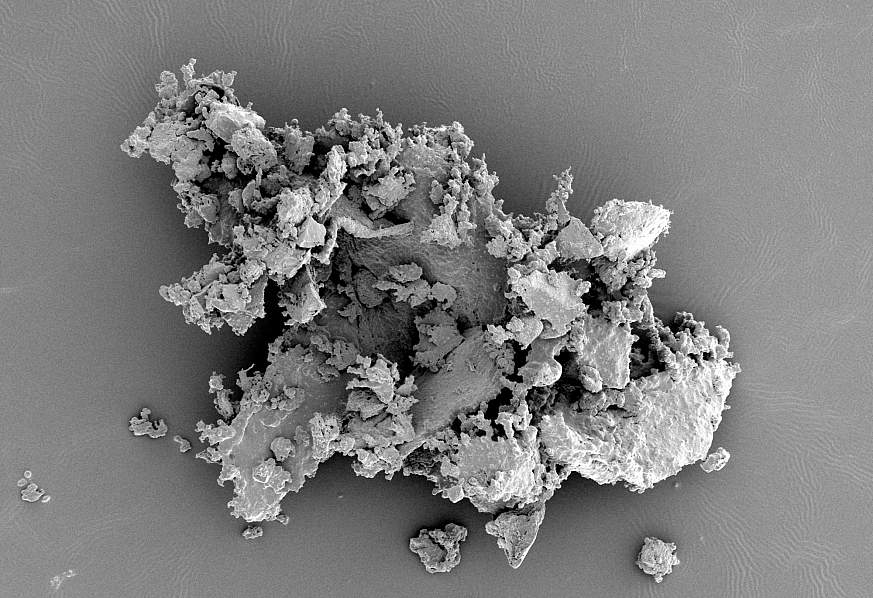 House dust under high magnification 