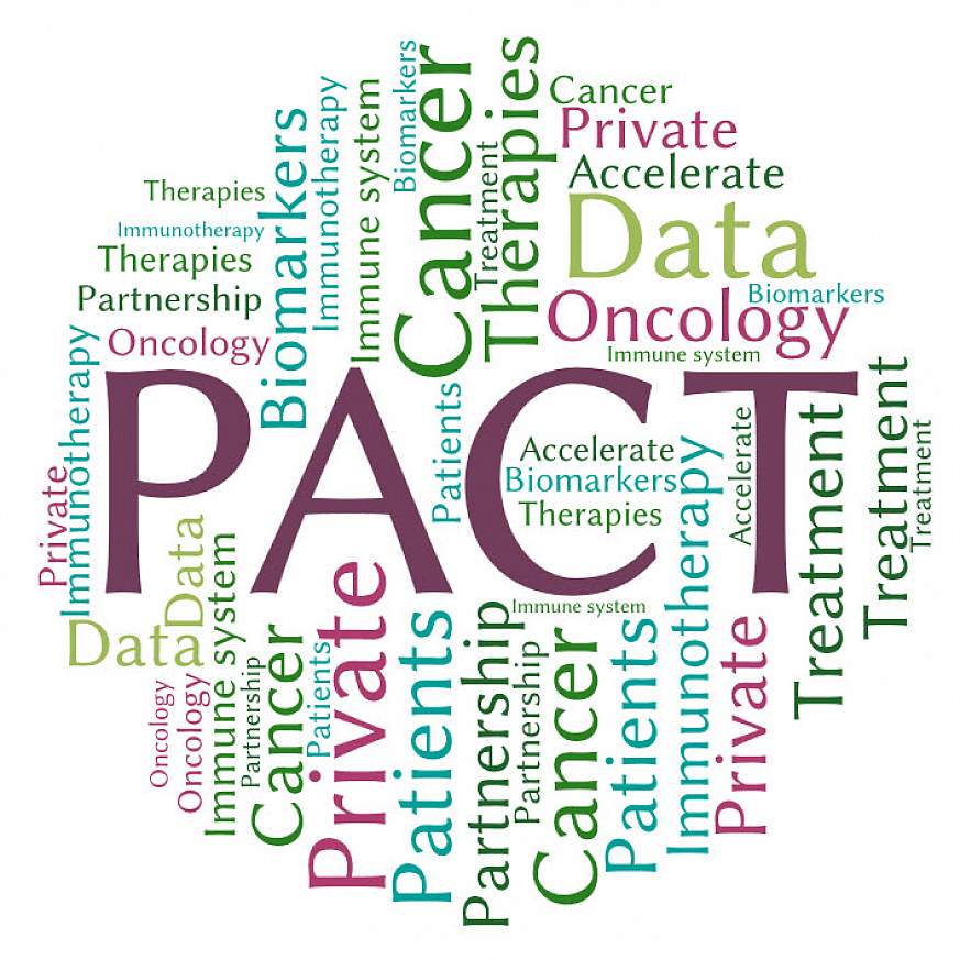 Partnership for Accelerating Cancer Therapies word cloud