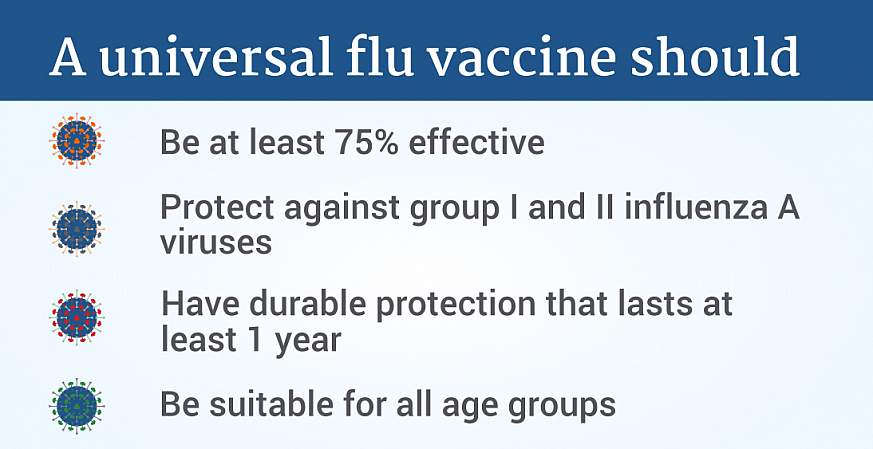 An effective universal flu vaccine must meet four criteria