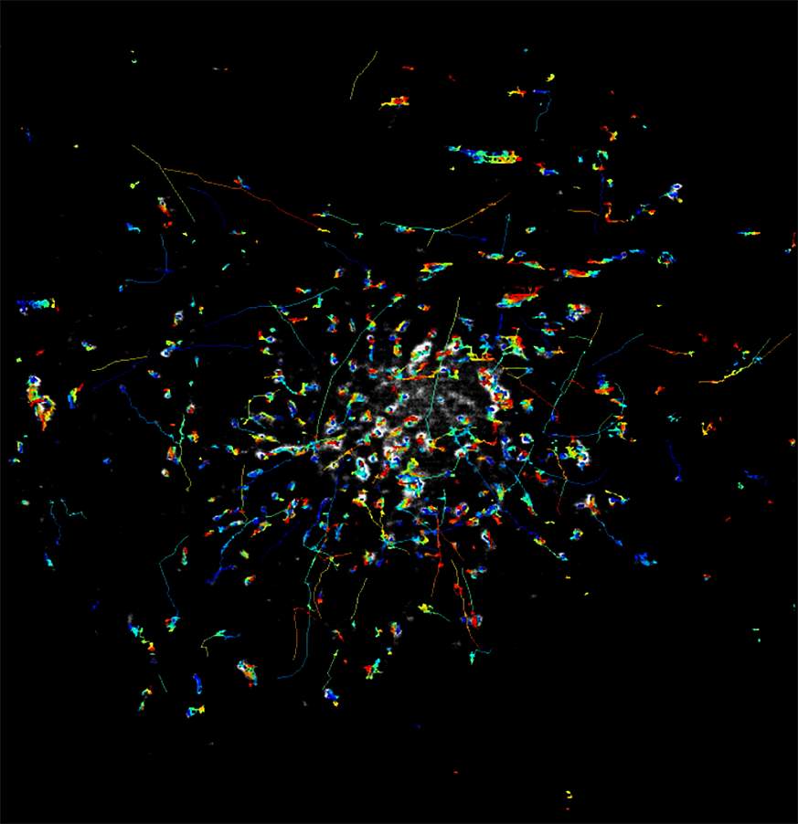 A still grey image with colorful scribbles overlaid indicating movement
