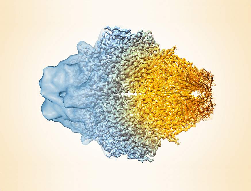 3D image of a molecule