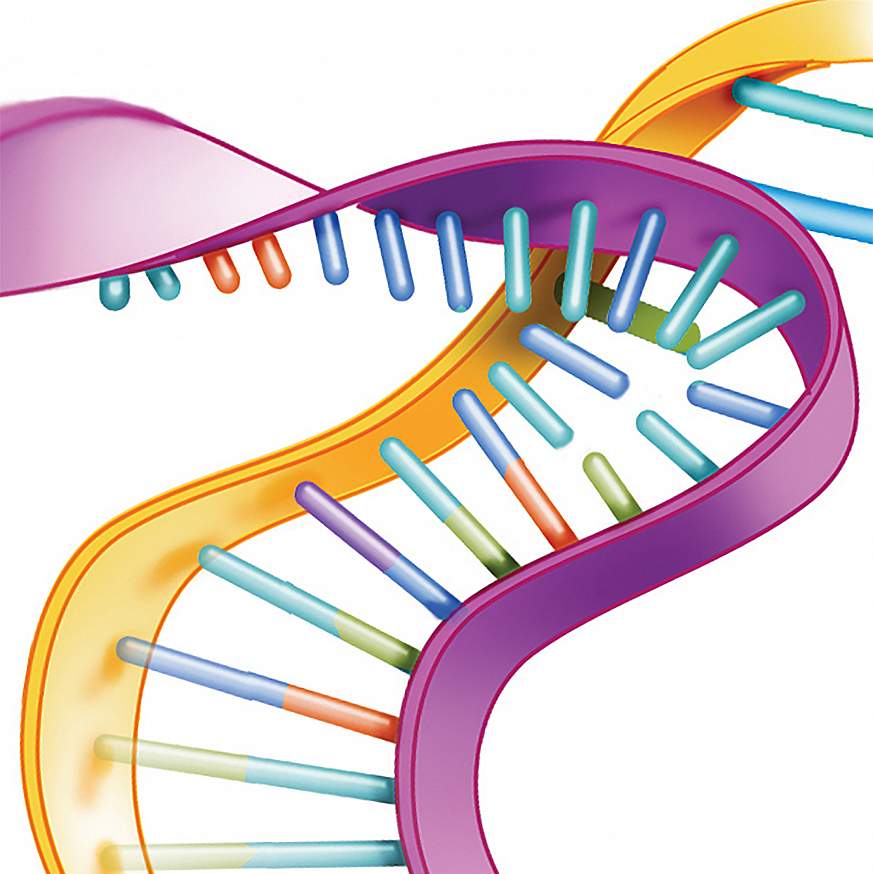 Illustration of a silenced gene