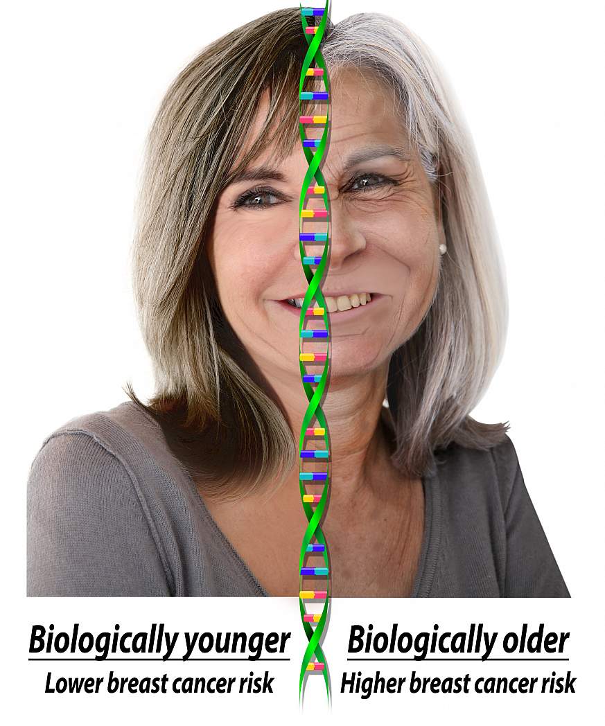 A graphical representation of biologic and chronologic age