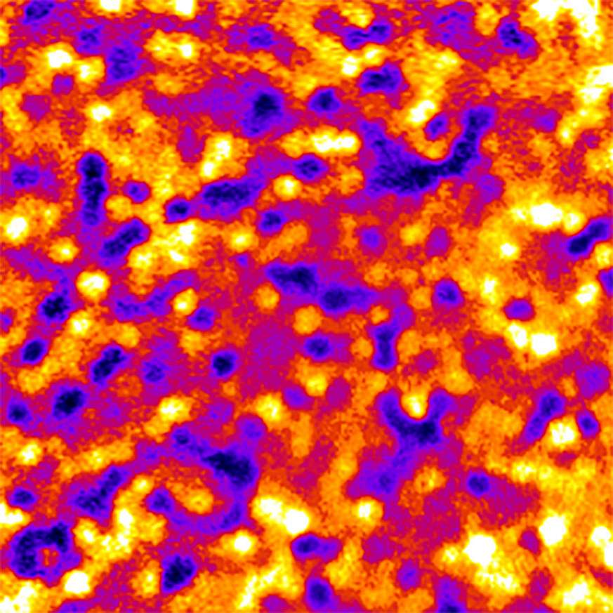 Image of a field of spots 