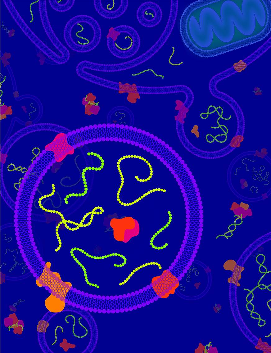 Illustration of extracellular RNA molecules