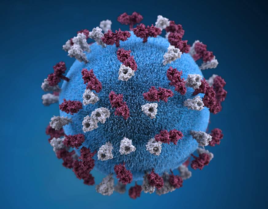 Measles virus