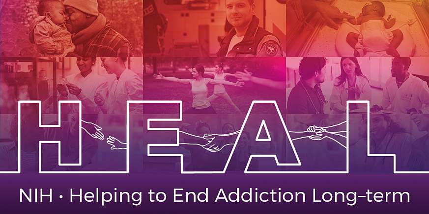 Graphic representing HEAL: NIH - Helping to End Addiction Long-term