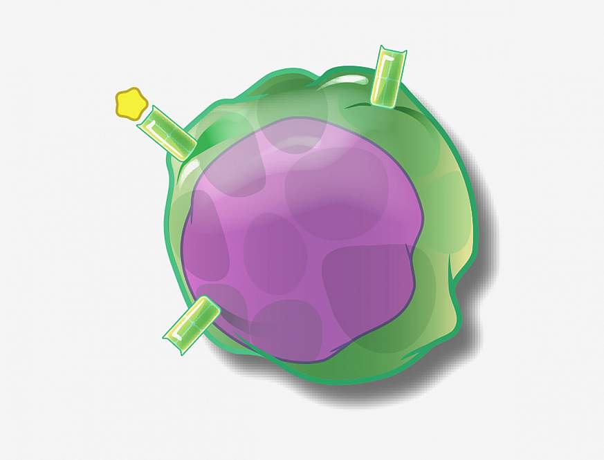 An artist’s rendition of a T cell.