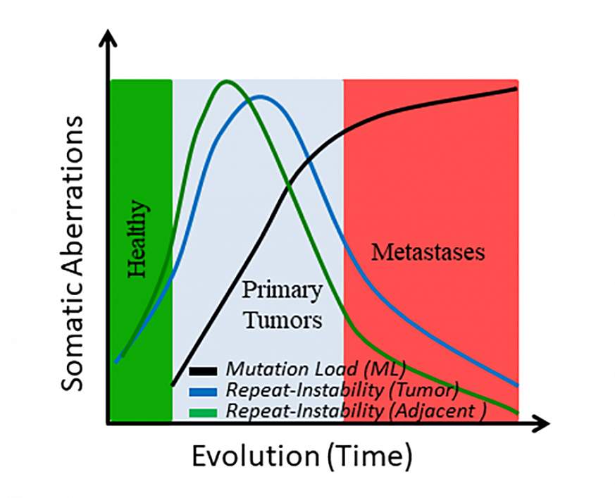 Graph of somatic changes over time