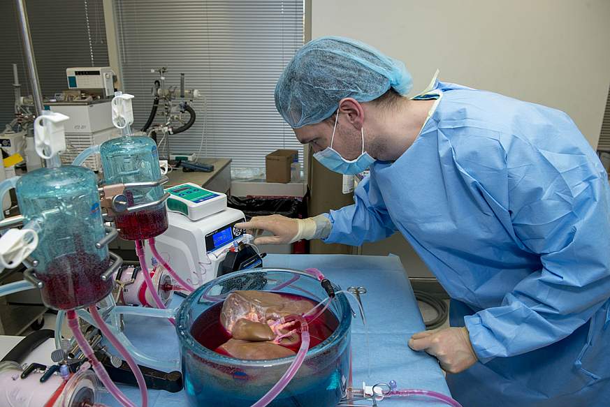 Image of a researcher working with a supercooled liver 