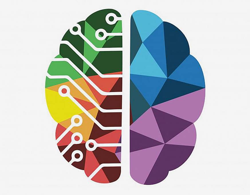 Illustration  of a brain