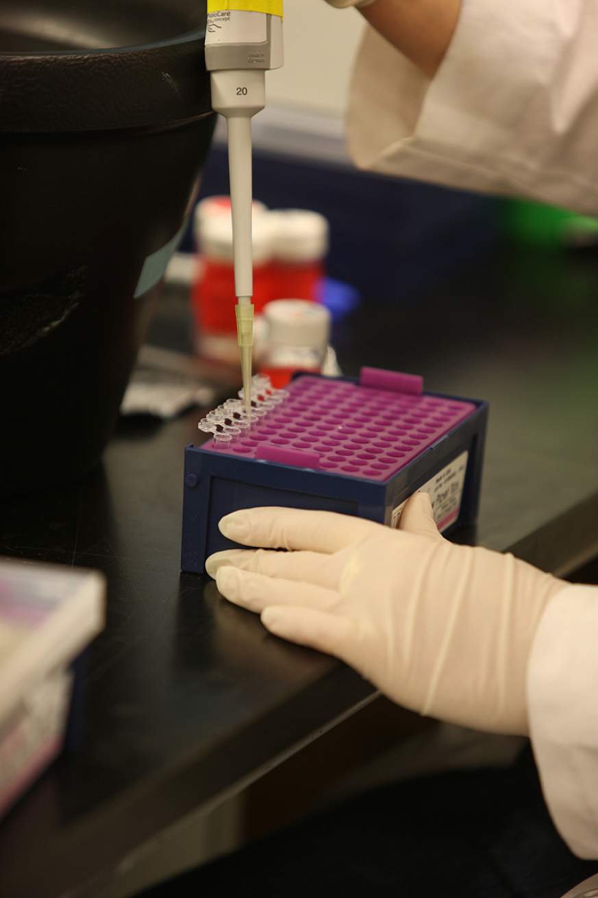 A researcher in a lab.