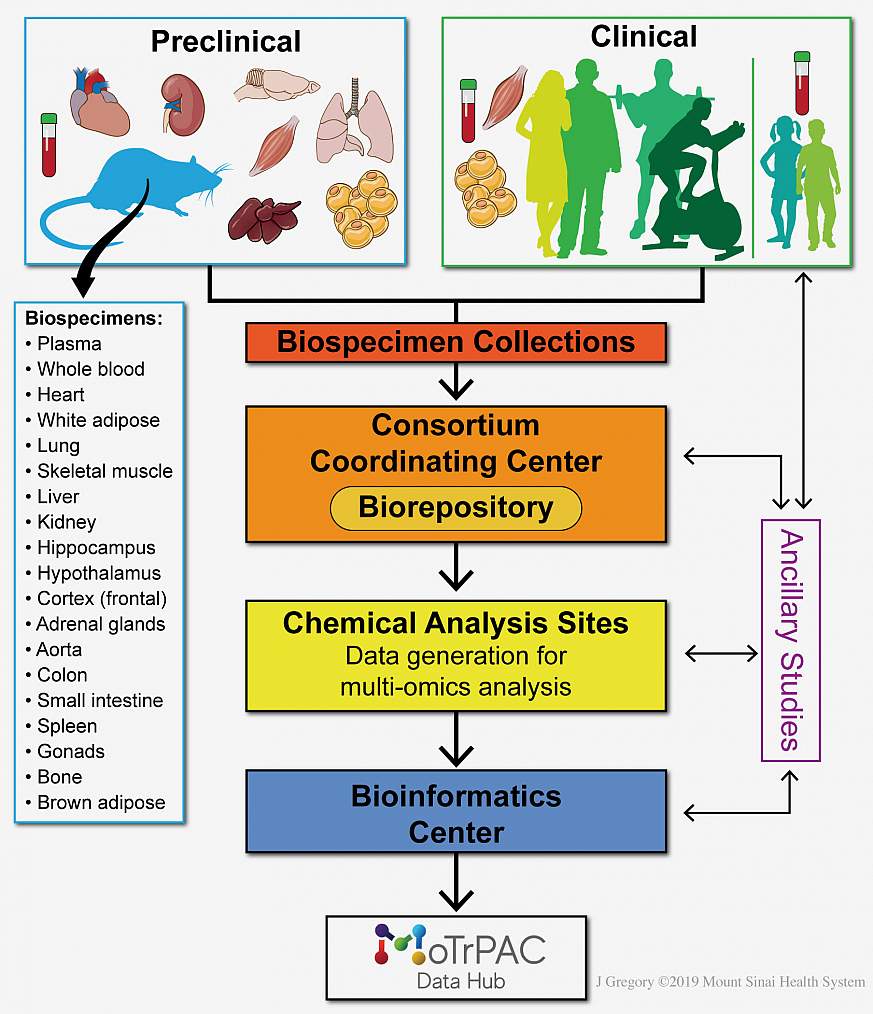 The Community Wellbeing Project - Population Health Analytics Laboratory